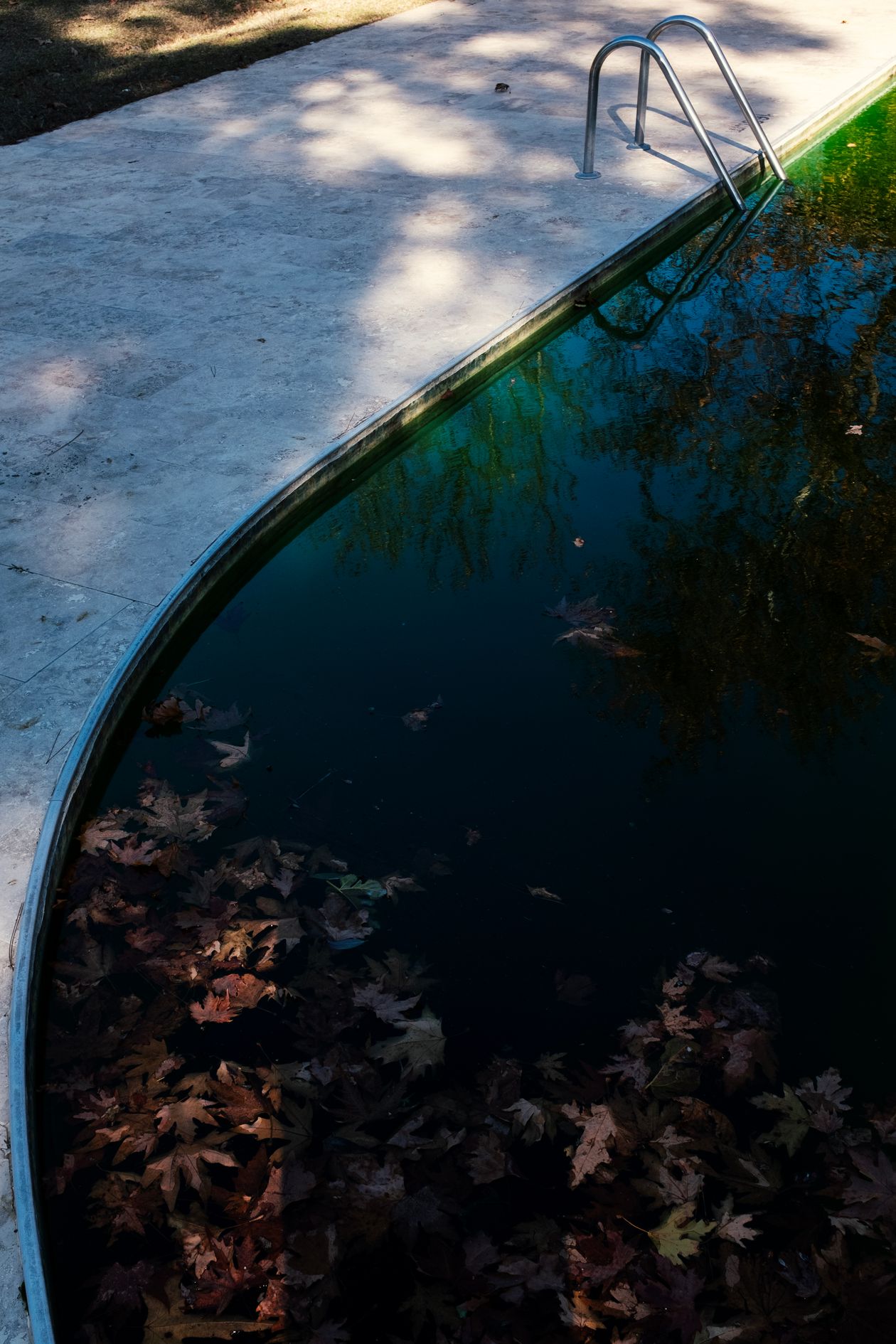 Feuilles d'automne flottant à la surface d'une piscine non entretenue