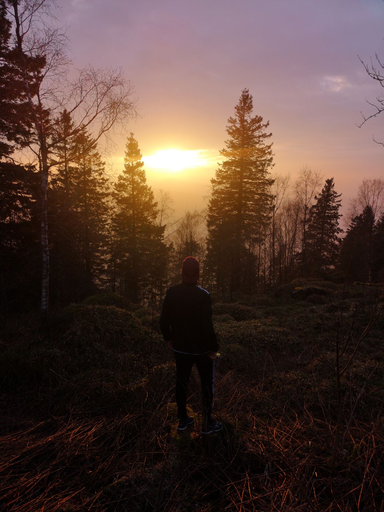 Personne face au soleil levant dans une forêt brumeuse en automne