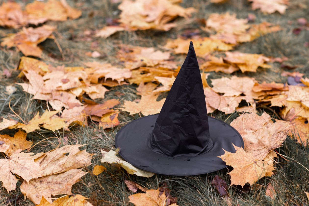 Décoration automnale avec citrouilles et accessoires d'Halloween